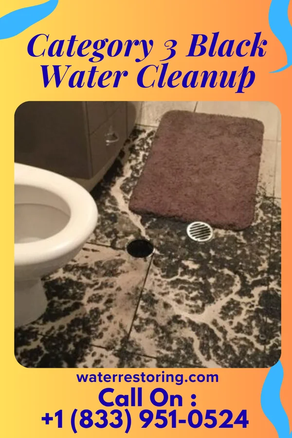 Category 3 Black Water Cleanup in South Webster, OH