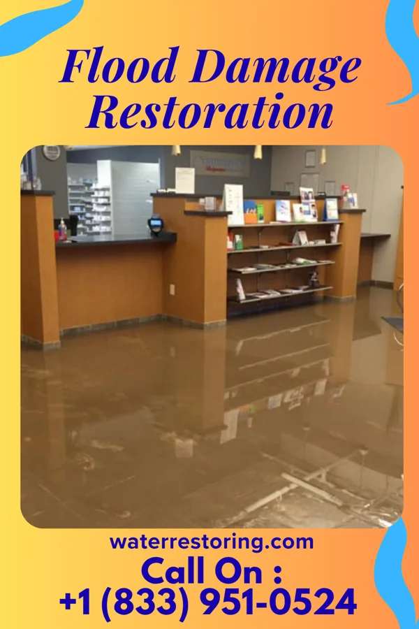 Flood Damage Restoration in South Webster, OH