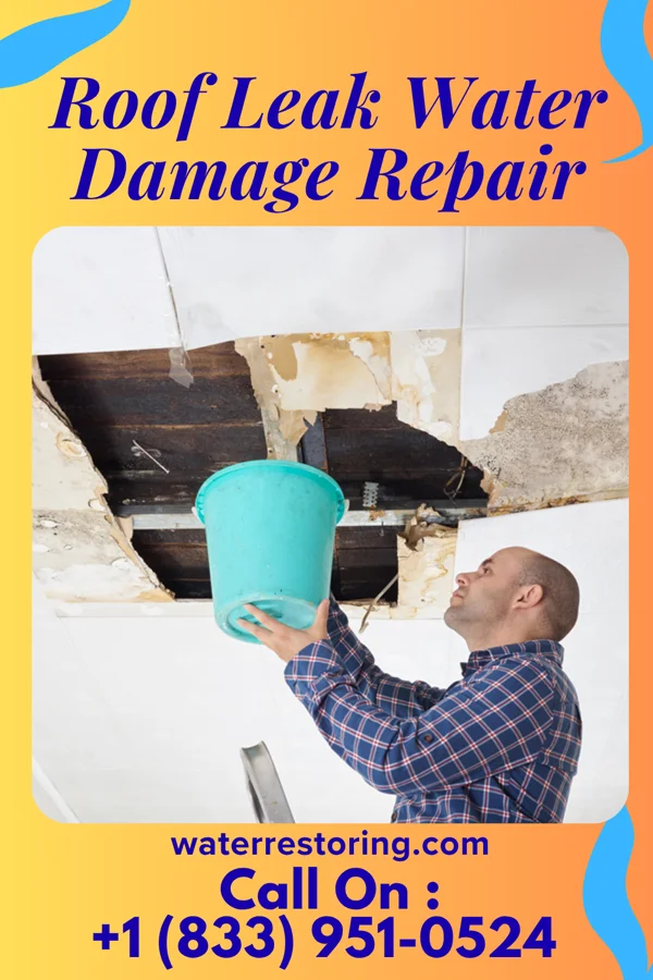 Roof Leak Water Damage Repair in South Webster, OH