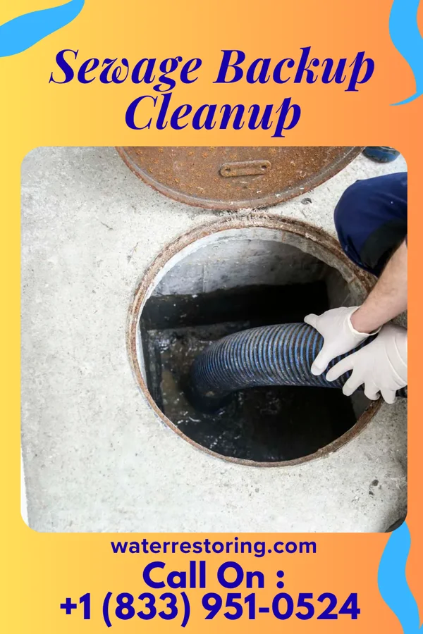 Sewage Backup Cleanup in South Webster, OH